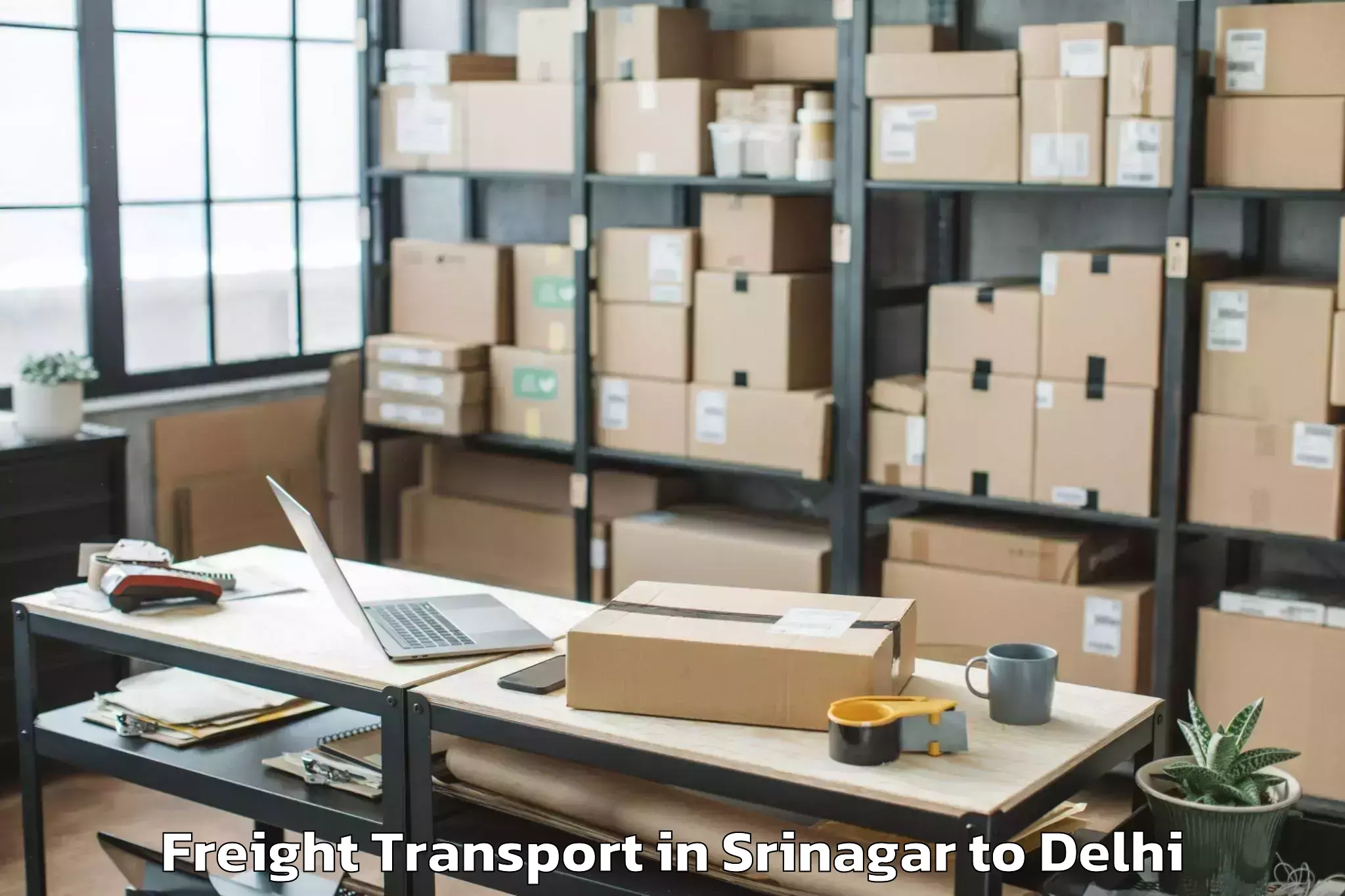 Reliable Srinagar to Jawaharlal Nehru University Ne Freight Transport